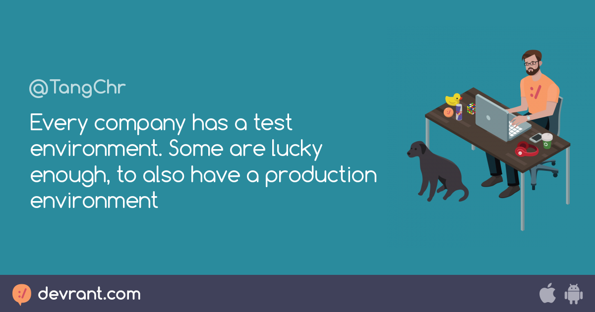 environment Every company has a test environment. Some are lucky